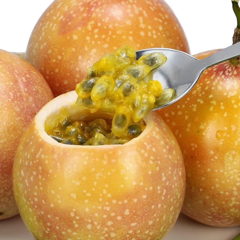 天文箱塗改器快遞隱私保密裹塗改滾輪式覆蓋防洩密拆箱刀 歷史價格詳細信息