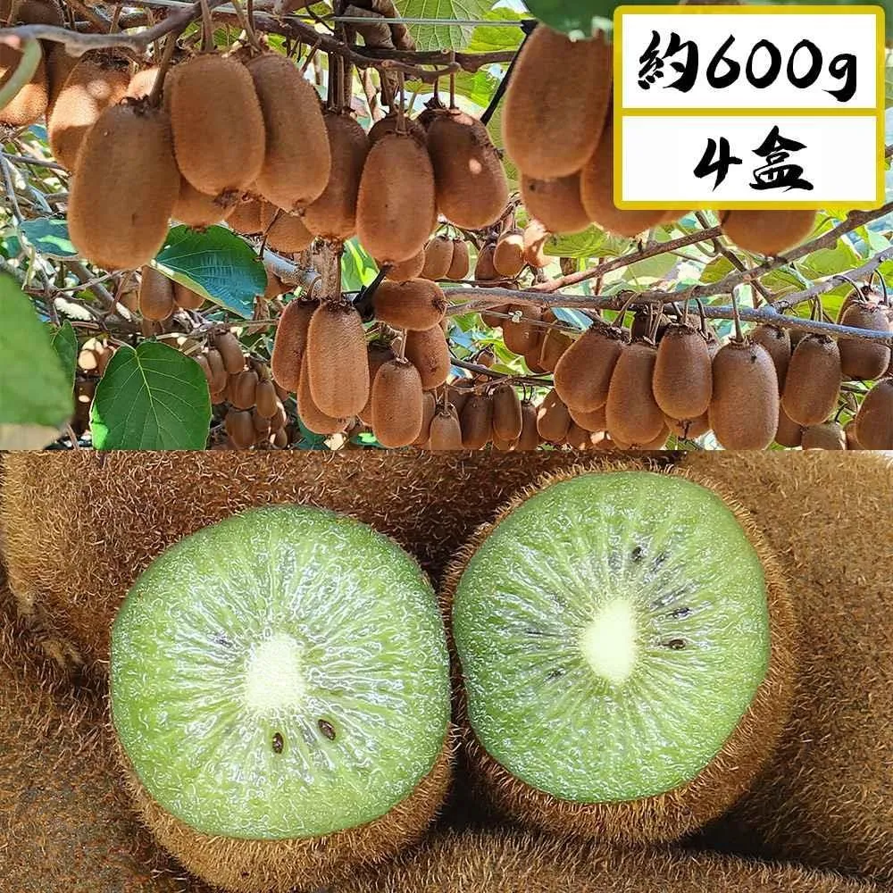 【愛蜜果】台灣梨山綠色奇異果X5盒(12-13顆/約600克/盒) 歷史價格詳細信息