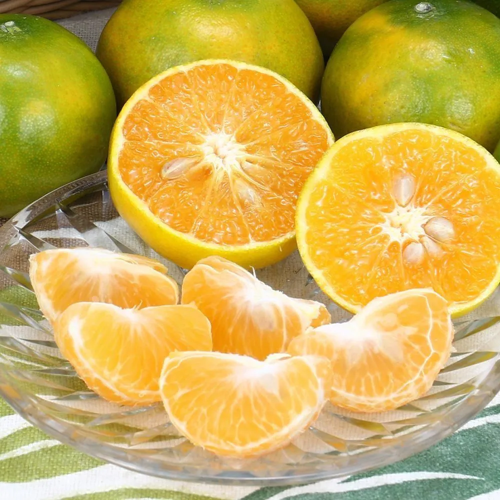 【橘子乾】蜜橘蜜桔桔子蜜餞果脯丑橘乾水果乾零食乾果罐裝超好吃【台灣公司免稅開發票】 歷史價格詳細信息