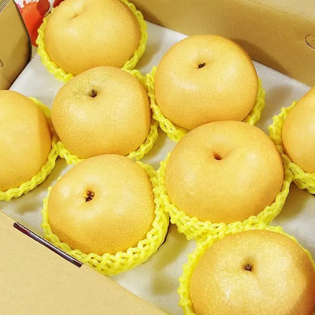 【鮮果日誌】王牌健康禮盒(智利富士蘋果6入+巨峰葡萄2.5台斤) 歷史價格詳細信息