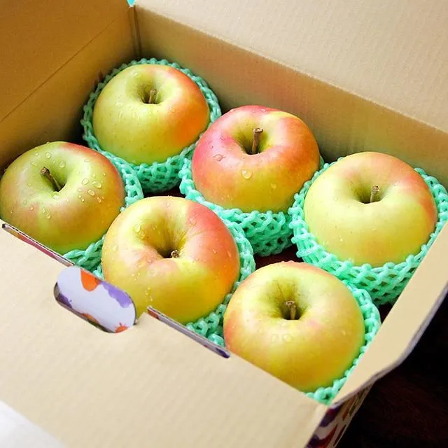 【鮮果日誌】日本青森群馬名月蘋果(6入裝) 歷史價格詳細信息