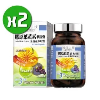 【台鹽生技】膠原軟骨素關鍵錠x2瓶(180錠/瓶) 歷史價格詳細信息