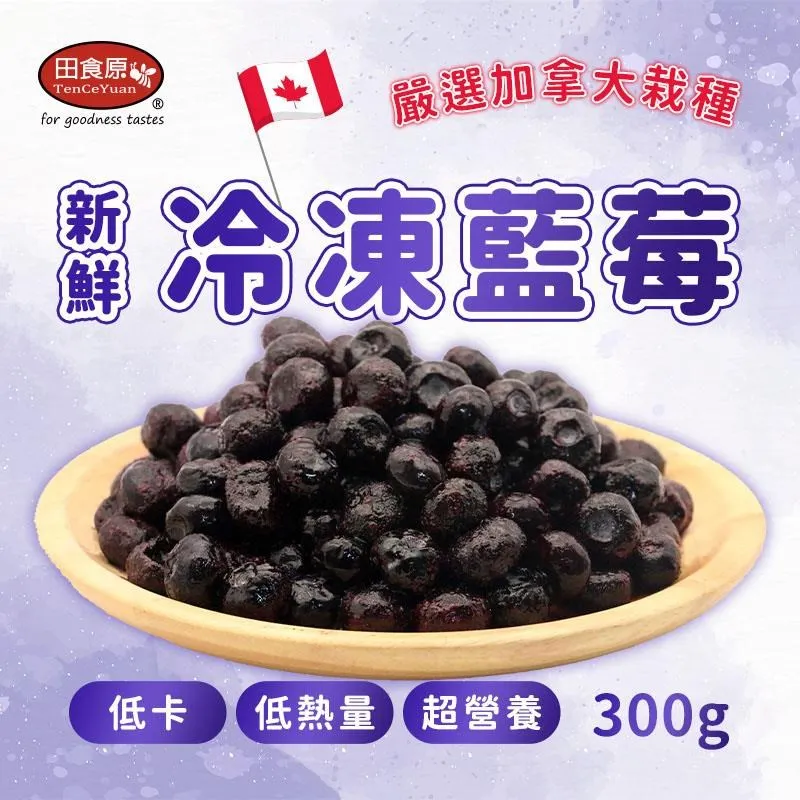 【田食原】新鮮智利頂級鮭魚360g 超值划算 美輪厚切 減醣健身 豐富營養 海鮮水產 歷史價格詳細信息