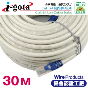 i-gota CAT6A超高速網路傳輸線 1M(RJ-MW6A-001) 歷史價格詳細信息