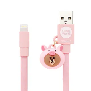 GARMMA LINE FRIENDS Apple Lightning 公仔吊飾傳輸線 –長頸鹿熊大 歷史價格詳細信息