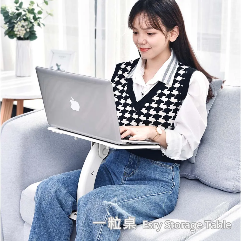 Oatsbasf 一粒米 筆電 車用 床上 折疊桌 角度可調 閱讀書架 萬用支架[現貨] 歷史價格詳細信息