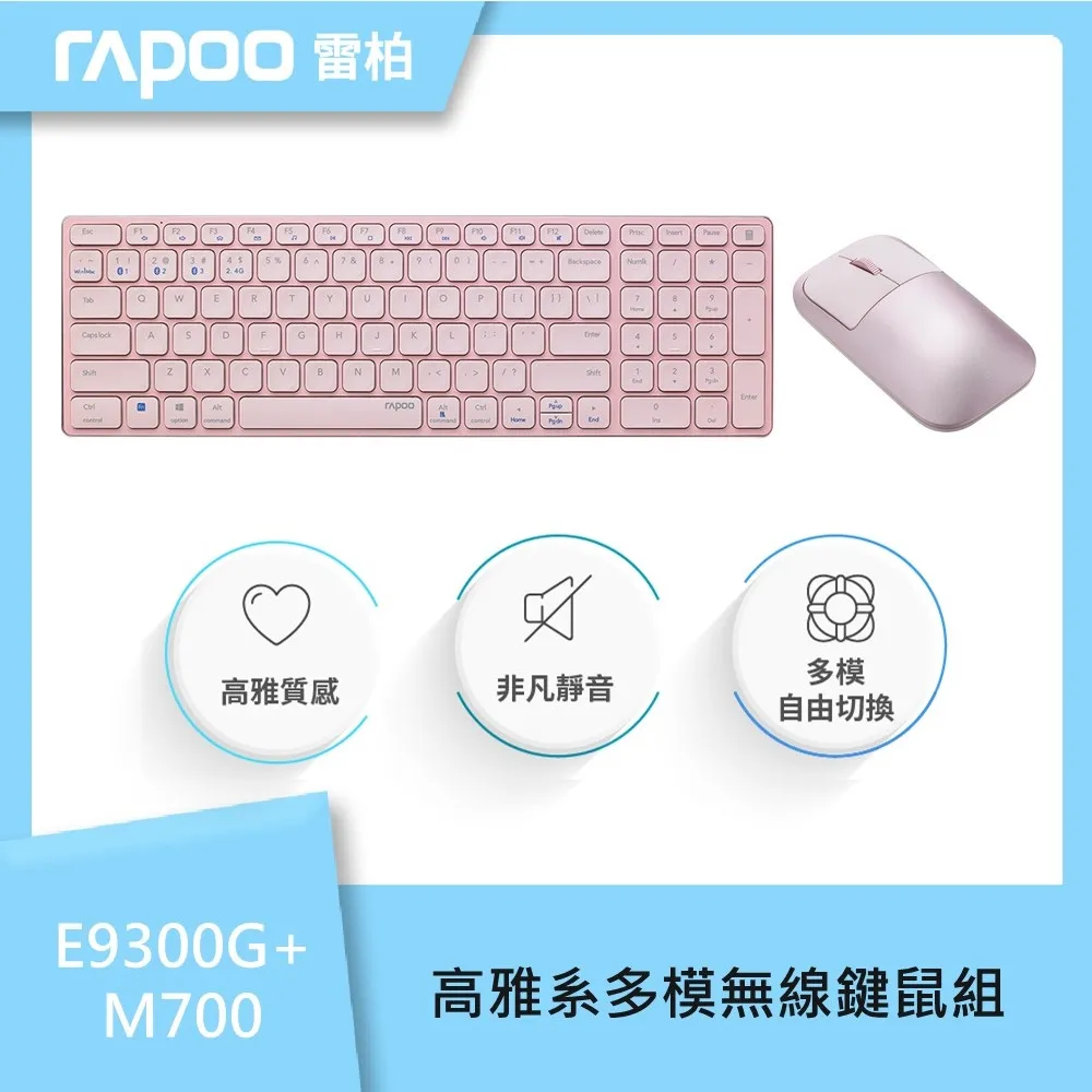 雷柏 Rapoo EV250 人體工學無線靜音垂直滑鼠 歷史價格詳細信息