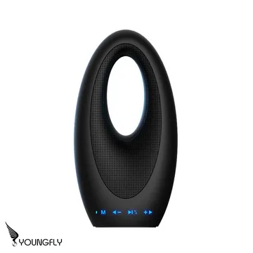 YoungFly 真無線鋅合金HIFI藍牙喇叭F9 歷史價格詳細信息