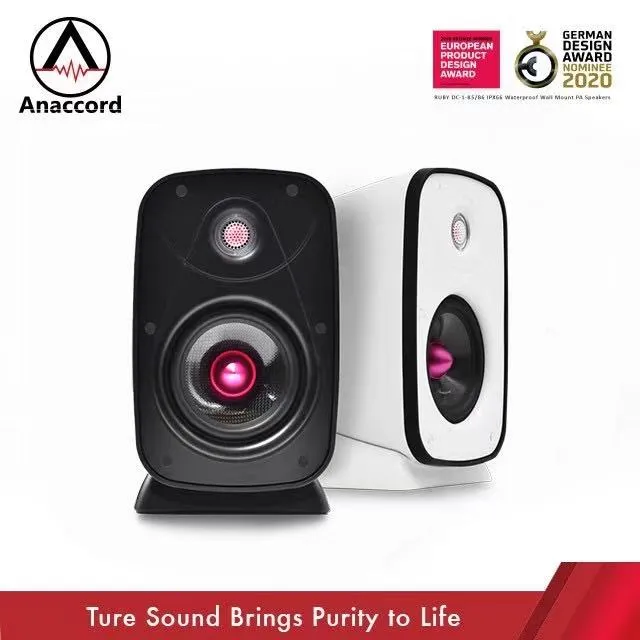 Anaccord 雅那歌音響 IPX66防水喇叭 壁掛式 懸吊式喇叭 舞台家庭卡拉OK 內含變壓器 歷史價格詳細信息
