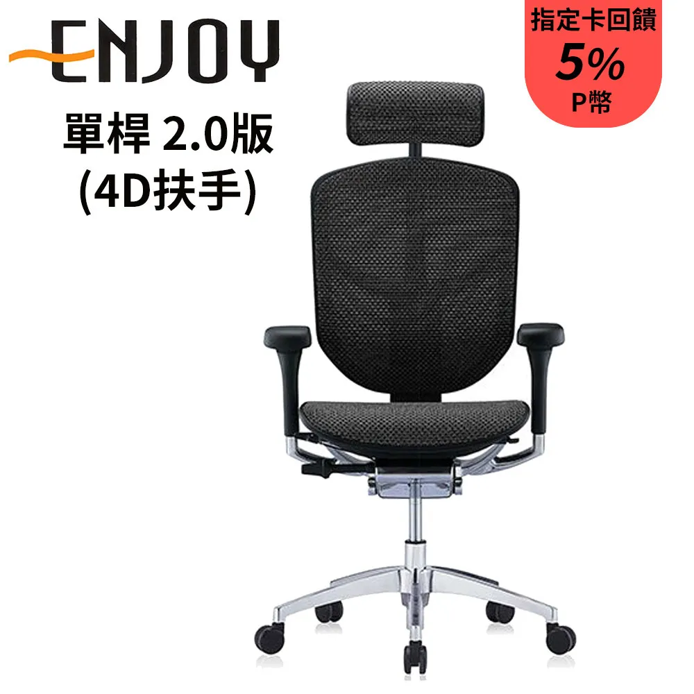 Enjoy 121 企業版(腰片版)人體工學椅【美製雲彩網】電腦椅/辦公椅 歷史價格詳細信息