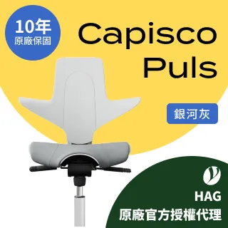 【Ystore雅浩家具】HAG Tion人體工學椅_暮雪白 歷史價格詳細信息