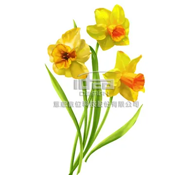 精緻單孔臉盆龍頭(全配套組)(盒)[大買家] 歷史價格詳細信息