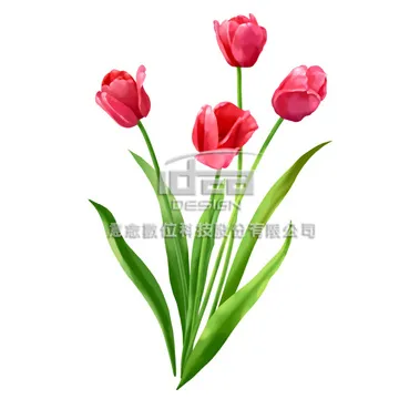 精緻單孔臉盆龍頭(全配套組)(盒)[大買家] 歷史價格詳細信息