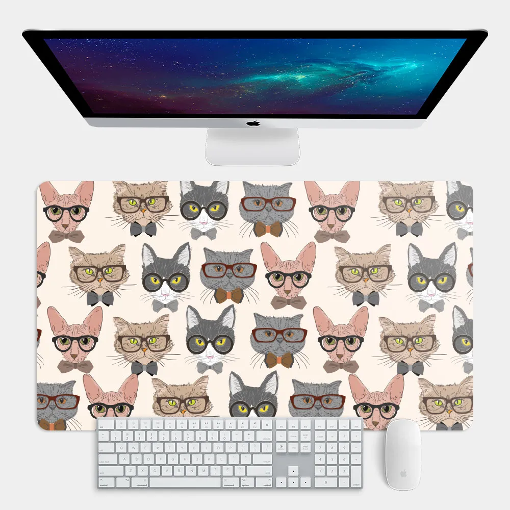 貓咪 辦公收納夾 8入裝 【佳瑪】可站立造型 多功能夾子 萬用夾 曬襪夾 彈簧夾 文具夾 歷史價格詳細信息