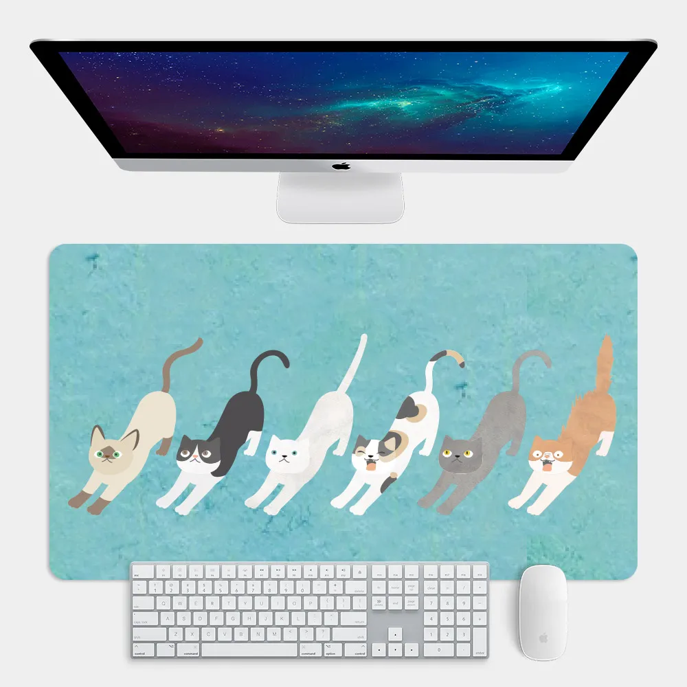 貓咪 辦公收納夾 8入裝 【佳瑪】可站立造型 多功能夾子 萬用夾 曬襪夾 彈簧夾 文具夾 歷史價格詳細信息