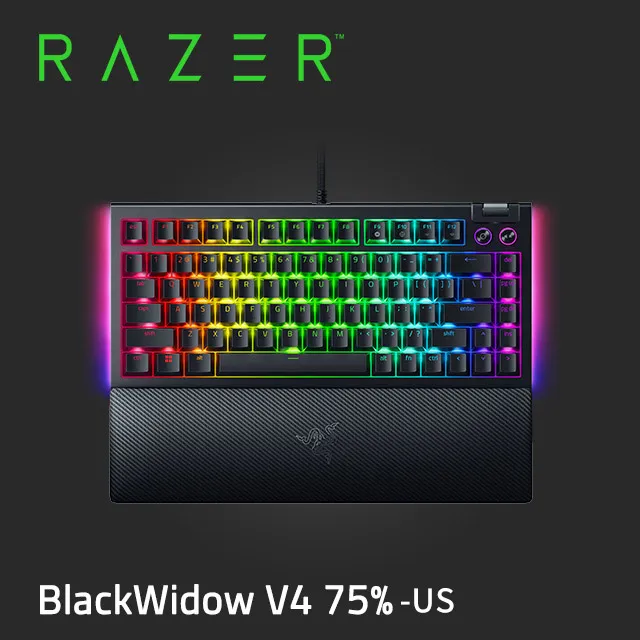 Razer BlackWidow V4 X 黑寡婦蜘幻彩版鍵盤 機械式遊戲鍵盤 綠軸 中文 歷史價格詳細信息