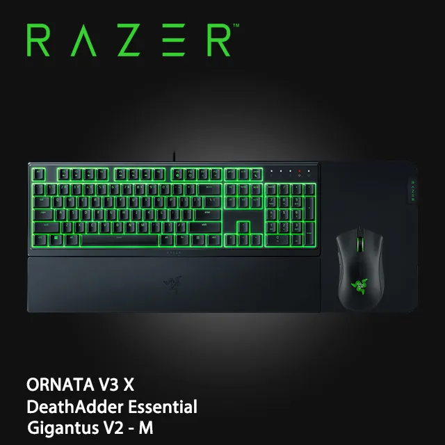 RAZER GIGANTUS V2 巨甲蟲滑鼠墊 電競滑鼠墊 中【現貨】【GAME休閒館】 歷史價格詳細信息