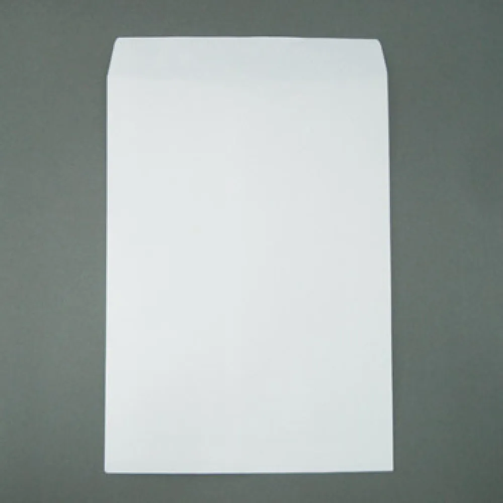 白牛皮公文封 大9K 100入裝 歷史價格詳細信息