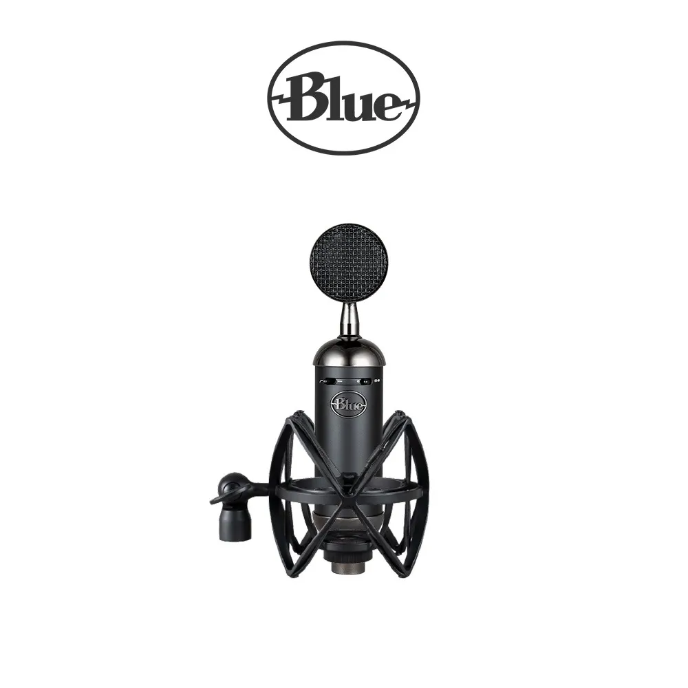 美國BLUE Spark SL 大型振膜錄音室電容式麥克風 歷史價格詳細信息