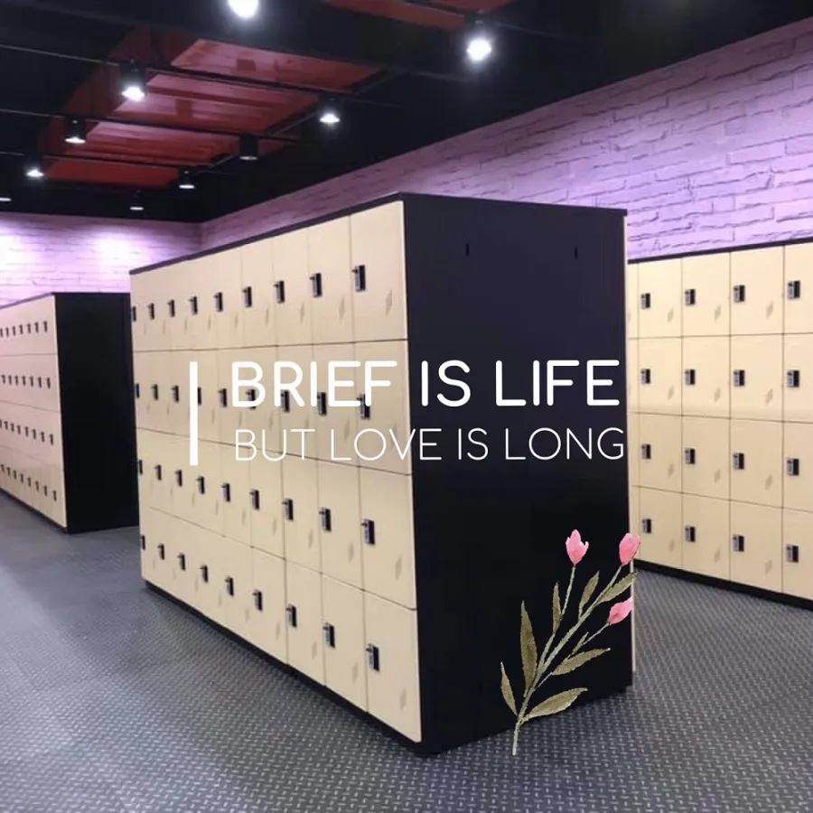 【櫃子小舖】18人ABS櫃-2S 把手櫃/小型櫃/鞋櫃/收納/儲物櫃/學生櫃/衣物櫃/辦公置物櫃/組合櫃/ABS櫃 歷史價格詳細信息