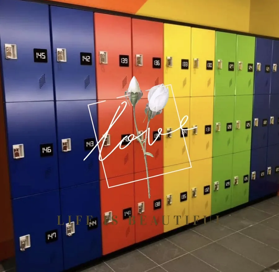 【櫃子小舖】18人ABS櫃-2S 把手櫃/小型櫃/鞋櫃/收納/儲物櫃/學生櫃/衣物櫃/辦公置物櫃/組合櫃/ABS櫃 歷史價格詳細信息