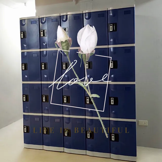 【櫃子小舖】18人ABS櫃-2S 把手櫃/小型櫃/鞋櫃/收納/儲物櫃/學生櫃/衣物櫃/辦公置物櫃/組合櫃/ABS櫃 歷史價格詳細信息