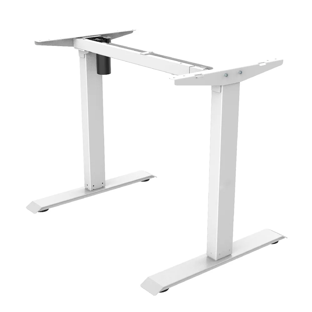 樂歌Loctek 人體工學 E2 電動升降桌 原木色+白色桌架 100*60cm 歷史價格詳細信息