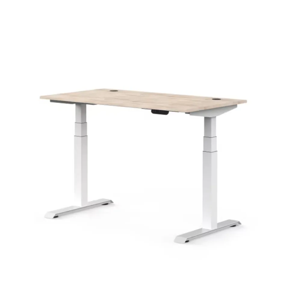 Backbone Dyback 04 電動升降桌-旗艦款W150xD75cm(自行組裝) 歷史價格詳細信息