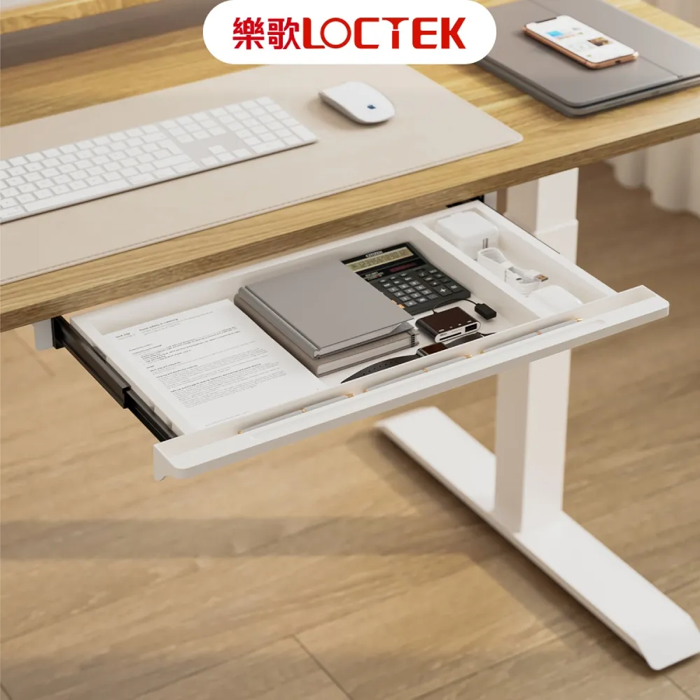 樂歌Loctek 電動升降電競桌 碳纖維紋理設計 RGB版 GET119X-L 歷史價格詳細信息