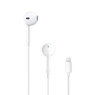 EarPods Lightning 蘋果原廠耳機 3.5mm轉接器 iPhone12 13 14 11 X 8 iPad 歷史價格詳細信息
