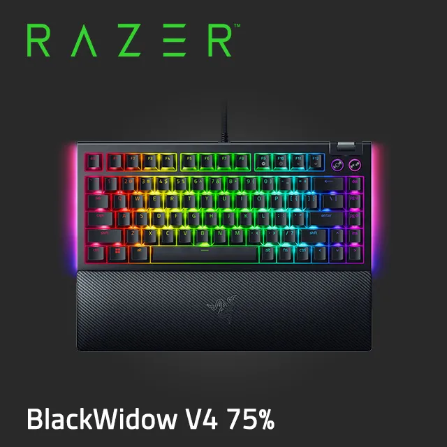 Razer BlackWidow V4 X 黑寡婦蜘幻彩版鍵盤 機械式遊戲鍵盤 綠軸 中文 歷史價格詳細信息