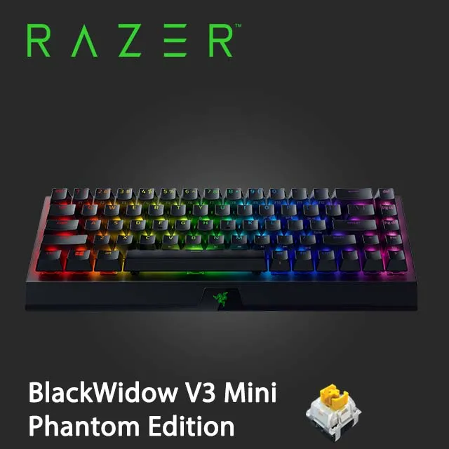 雷蛇RAZER BLACKWIDOW 黑寡婦V3【黃軸】 機械式RGB鍵盤 歷史價格詳細信息