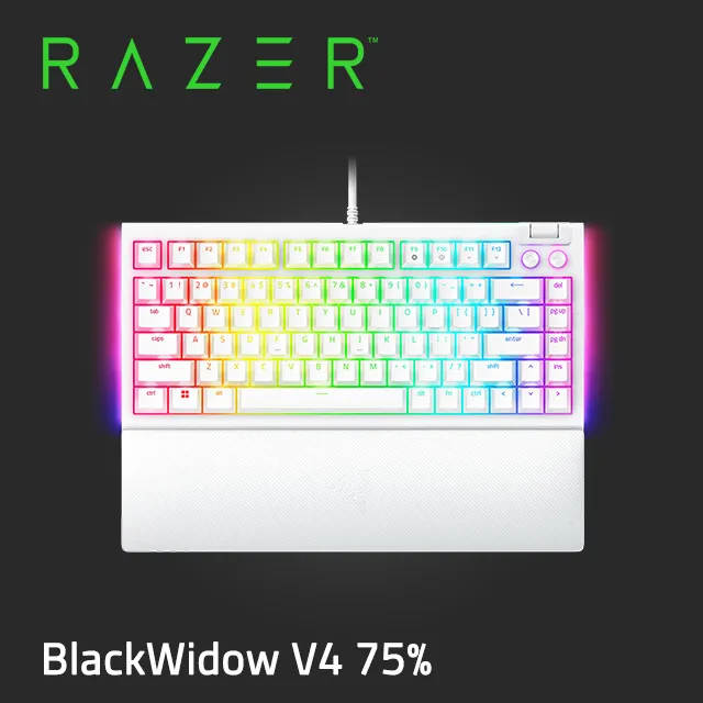 Razer BlackWidow V4 X 黑寡婦蜘幻彩版鍵盤 機械式遊戲鍵盤 綠軸 中文 歷史價格詳細信息