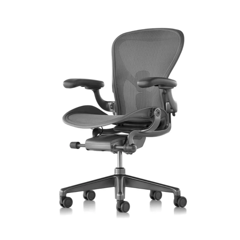 Herman Miller Aeron2.0 專用頭枕 石墨黑 (副廠) 歷史價格詳細信息