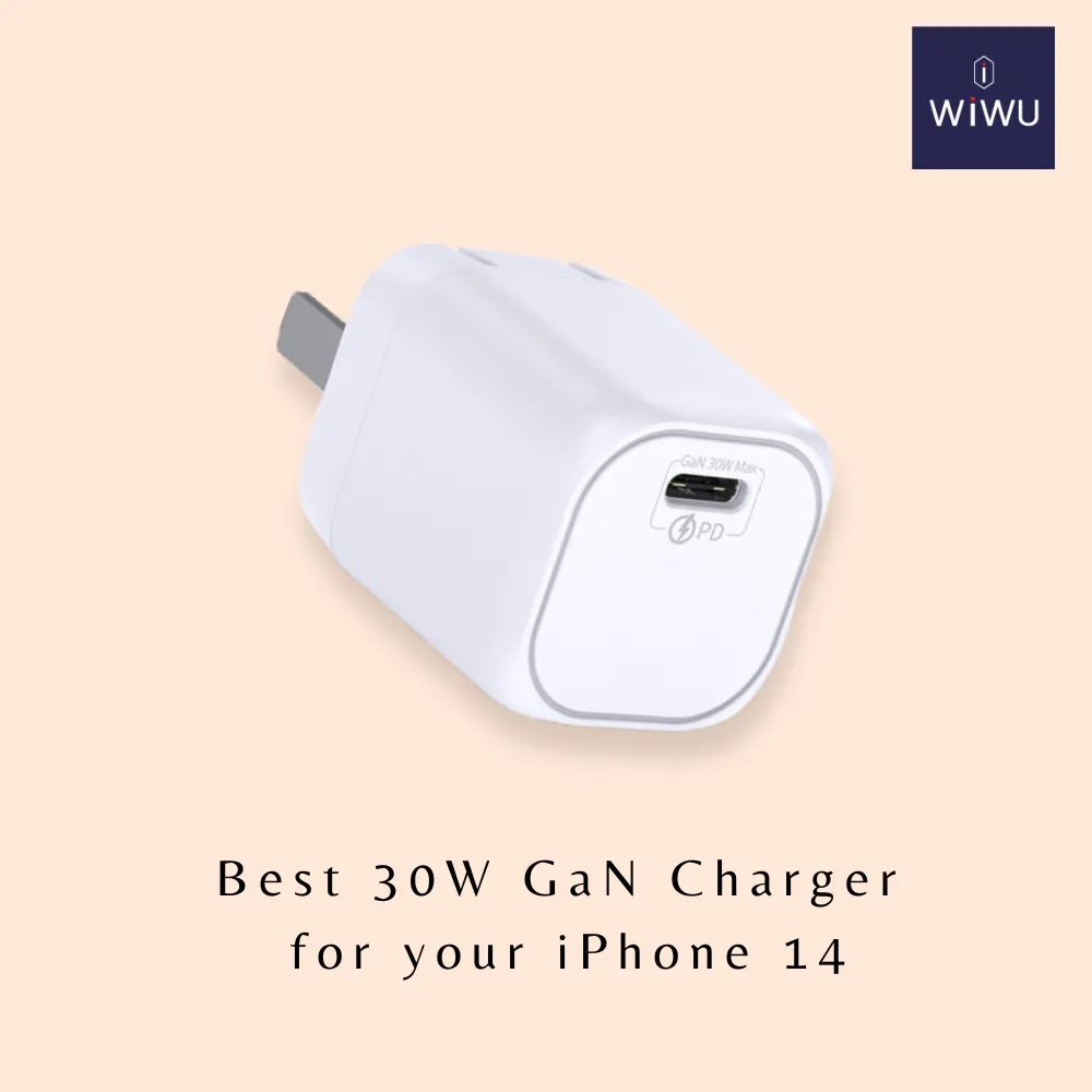 WiWU - 30W氮化鎵迷你快充 電源供應器 21TW301 歷史價格詳細信息