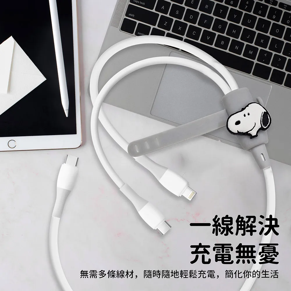 3M PD 1111 保潔墊枕頭套 (平單式)-2入組 現貨 廠商直送 歷史價格詳細信息