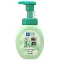 日本【ROHTO】極潤泡沫洗面乳 160ml-薏仁綠 歷史價格詳細信息