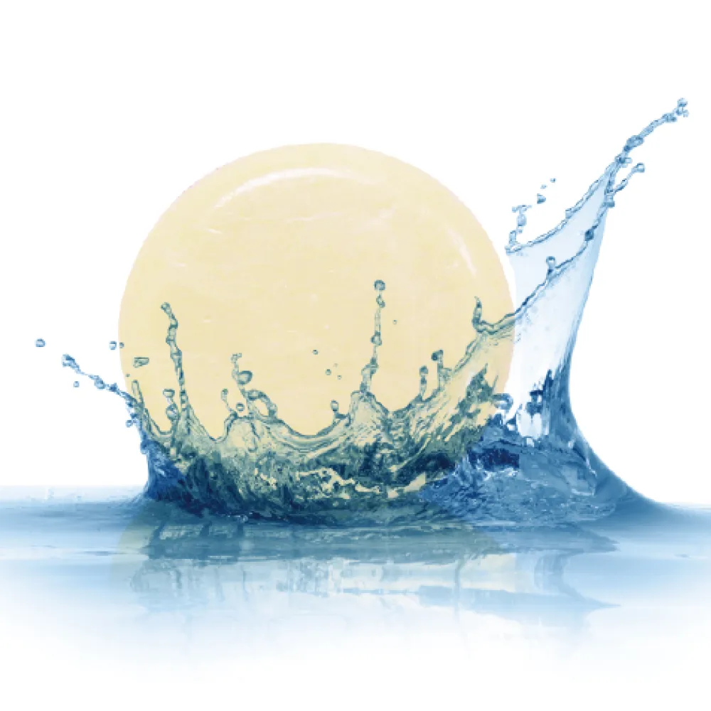 HolyCharming粉刺分手美容皂 100g 歷史價格詳細信息