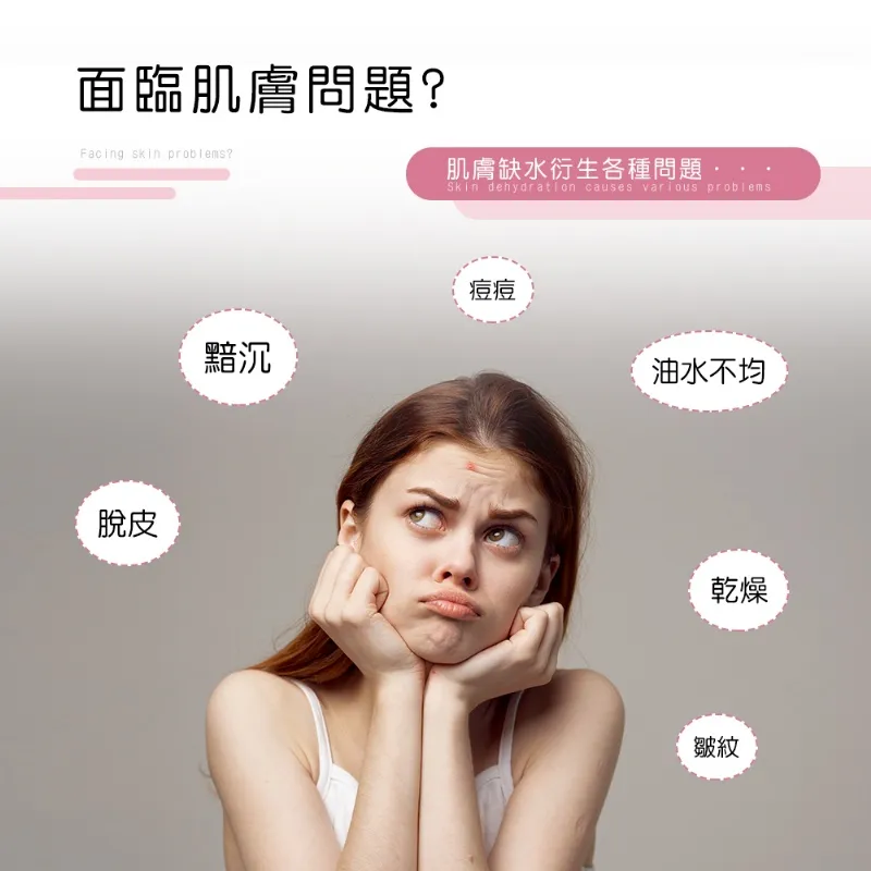 HANLIN 手持 高溫高壓蒸汽清洗機 歷史價格詳細信息