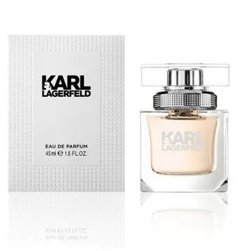Karl Lagerfeld 卡爾·拉格斐 同名男性淡香水 100ml-Tester包裝 歷史價格詳細信息