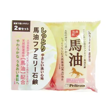 日本Pelican洗背皂135g 歷史價格詳細信息