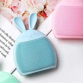 創意設計讓生活更美好☆多功能居家好幫手二合一斜撕去毛靜電刷黏毛刷塵刷|兩色可選 歷史價格詳細信息