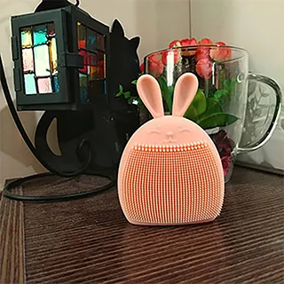 創意設計讓生活更美好☆多功能居家好幫手二合一斜撕去毛靜電刷黏毛刷塵刷|兩色可選 歷史價格詳細信息