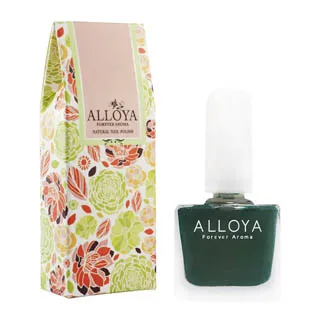 ALLOYA 英國愛若雅 貓眼必備 雙頭磁石棒 厚度30mm 磁石板 歷史價格詳細信息