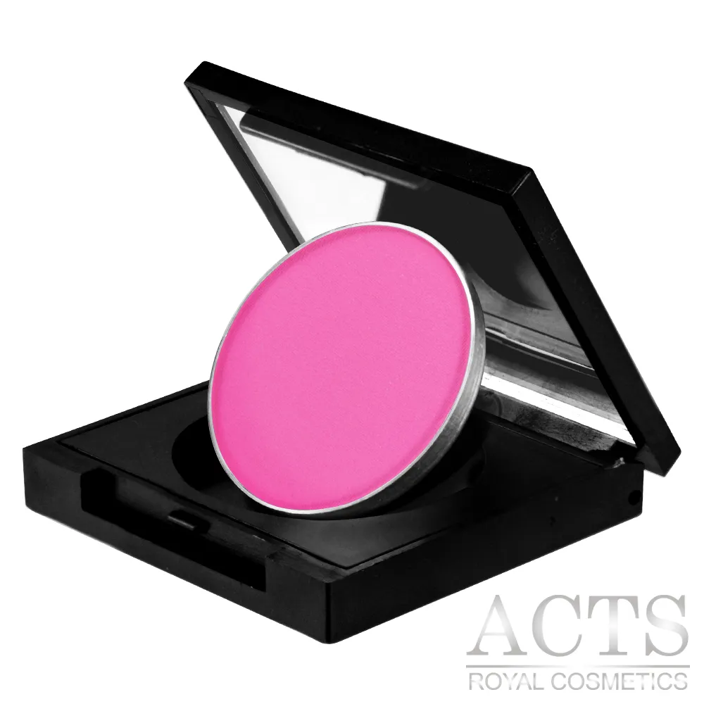 ACTS 維詩彩妝 好氣色腮紅餅 野莓霜淇淋7304(3.5g) 歷史價格詳細信息