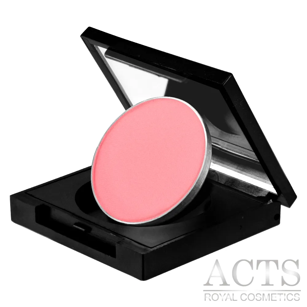 ACTS 維詩彩妝 好氣色腮紅餅 野莓霜淇淋7304(3.5g) 歷史價格詳細信息