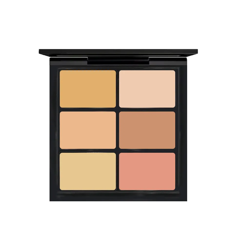 M.A.C MAC 超持妝六色遮瑕盤 #LIGHT 6g 歷史價格詳細信息