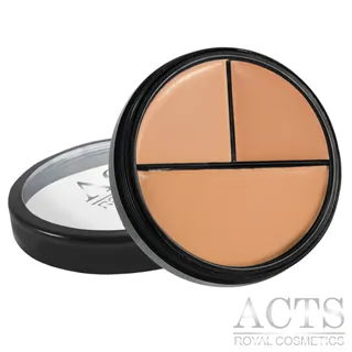 【ACTS 維詩彩妝】淨透無暇粉底膏  健康深膚8503 歷史價格詳細信息
