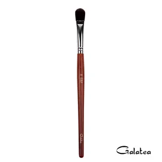 圓眼影刷 531 林三益x王盈喬老師推薦 歷史價格詳細信息