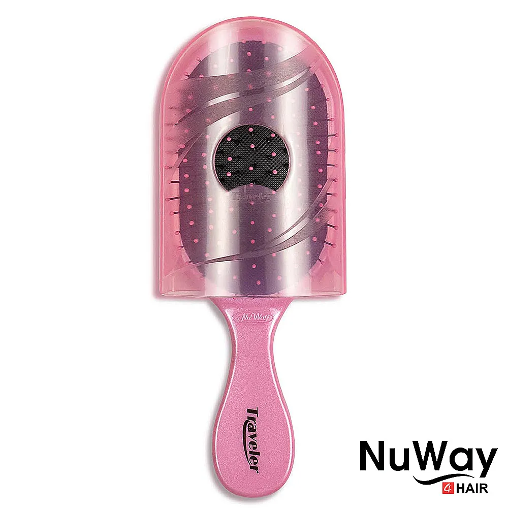 【施魔梳】旅行款專業梳NWT-DWR(磚紅色) 歷史價格詳細信息